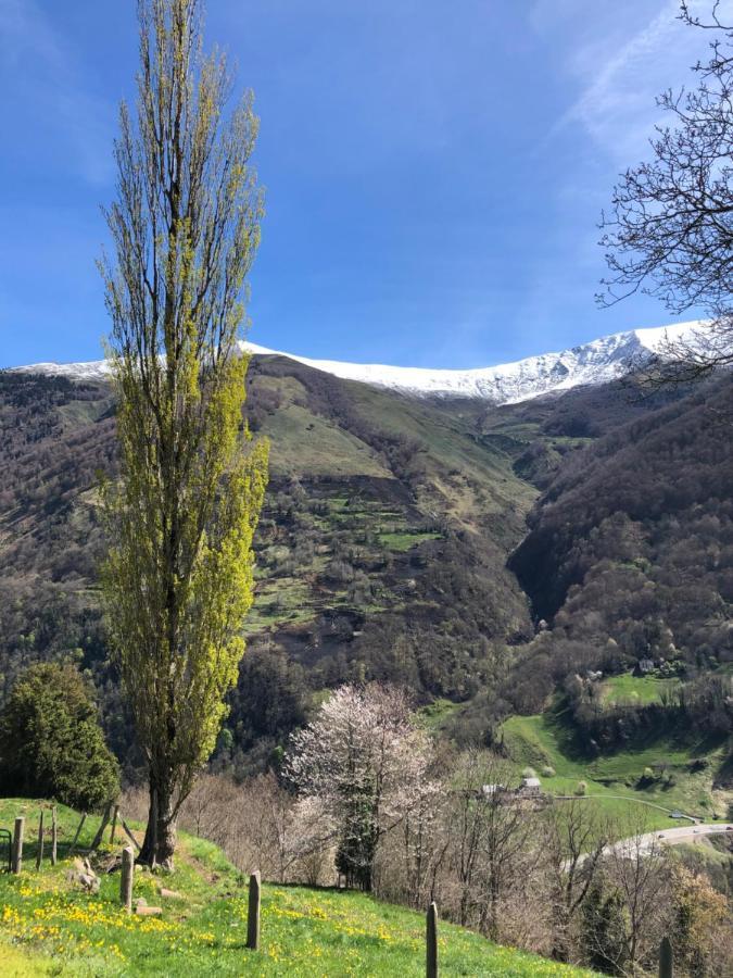 Maison De Montagne Borce 외부 사진